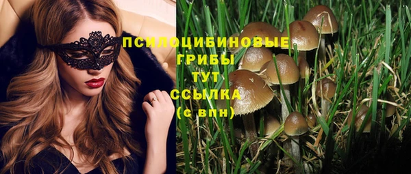 круглые Алексин